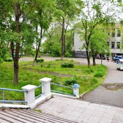 Зеленая зона возле Матросского клуба на улице Светланской стала муниципальной собственностью #2