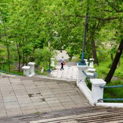Зеленая зона возле Матросского клуба на улице Светланской стала муниципальной собственностью #5