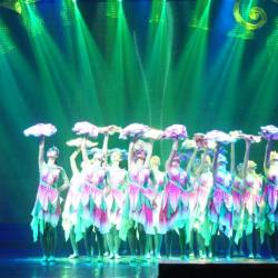 Артисты из Китая очаровали владивостокцев #10