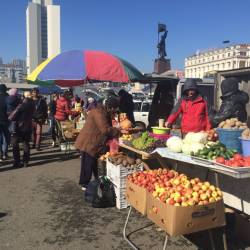 Фермерская продукция - в ассортименте для жителей и гостей города #72