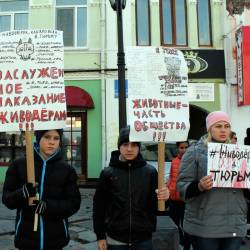 Жители города выступили против хабаровских живодёрок и океанариума #21