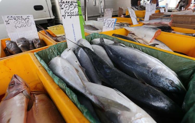 Рыбному рынку, яхтенному порту и торговому центру на Фадеева обещана поддержка