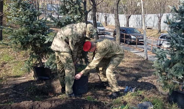 Лес Победы появился во Владивостоке