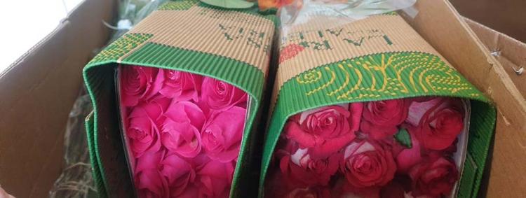 Тюльпаны из Краснодара, розы – из Эквадора