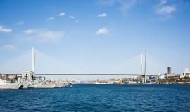 cable-stayed-bridge-4936199_1280.jpg