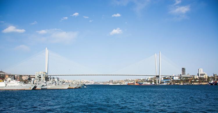 cable-stayed-bridge-4936199_1280.jpg