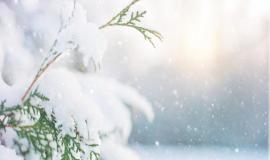 imgonline-com-ua-Resize-QyiW8ROnjy0qH.jpg imgonline-com-ua-Resize-QyiW8ROnjy0qH.jpg