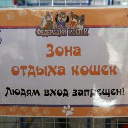 Горожан приглашают познакомиться с различными породами питомцев #15