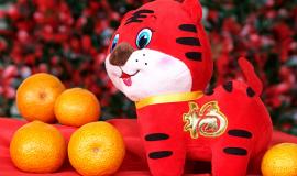 tiger-doll-g0ad98656d_1920.jpg