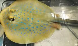 photo1643865368 (1).jpeg