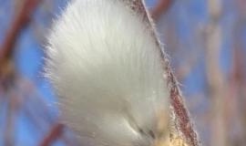 thumb_461437_news_xxxl.jpeg thumb_461437_news_xxxl.jpeg