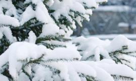 thumb_460025_news_xxxl.jpeg thumb_460025_news_xxxl.jpeg