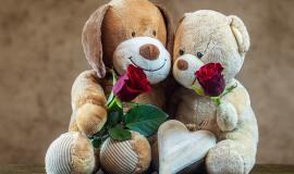 teddy-gdc284f49a_1280.jpg