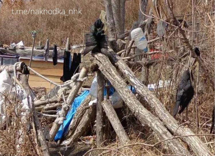 Найден владивосток. Вблизи жилища. Отшельник в Астраханской области.