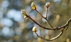 Без имени.jpg