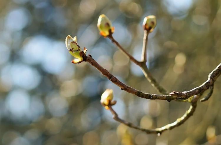 Без имени.jpg