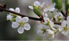 Без имени.jpg