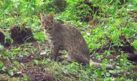 WhatsApp Image 2022-06-01 at 13.33.43.jpeg