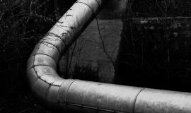 pexels-evan-velez-saxer-7417579.jpg pexels-evan-velez-saxer-7417579.jpg