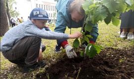 Без имени.jpg