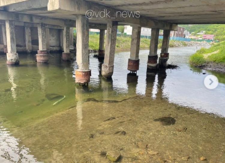 WhatsApp Image 2022-06-10 at 14.23.48.jpeg