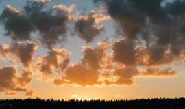 pexels-yan-krukov-4964946.jpg pexels-yan-krukov-4964946.jpg