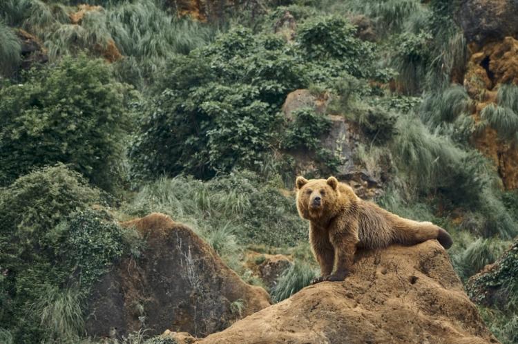 Без имени.jpg