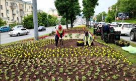 Без имени.jpg