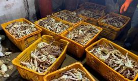 Снимок веб-страницы_5-7-2022_171235_www.dv.kp.ru.jpeg