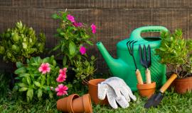 plants-pot-with-watering-can.jpg