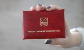 Общественный наблюдатель.jpg
