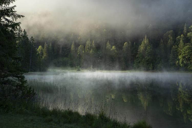 amazing-shot-ferchensee-lake-bavaria-germany.jpg