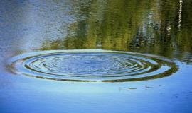 thumb_63889_news_xxxl.jpeg thumb_63889_news_xxxl.jpeg