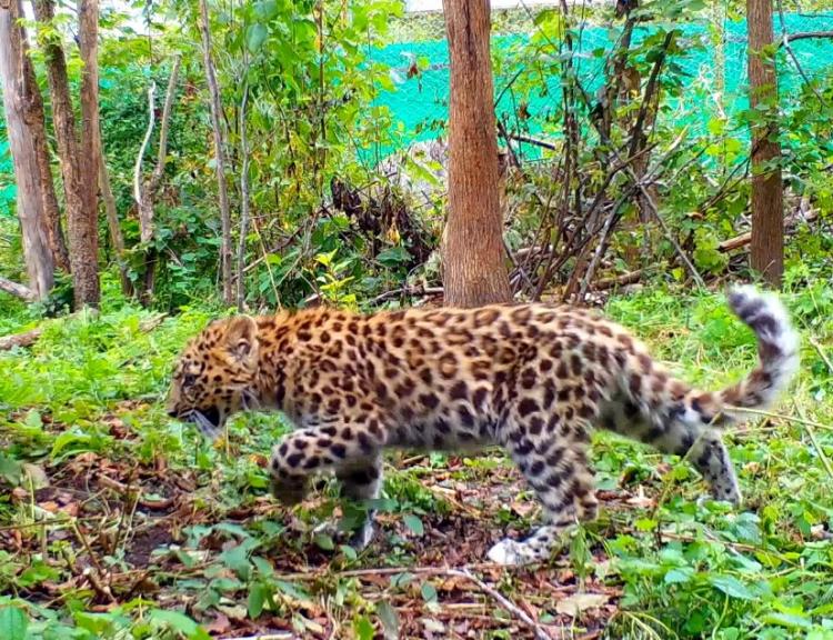 Снимок веб-страницы_31-8-2022_153239_cloud.mail.ru.jpeg