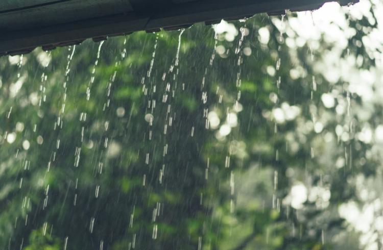 Снимок веб-страницы_5-9-2022_85331_ru.freepik.com.jpeg