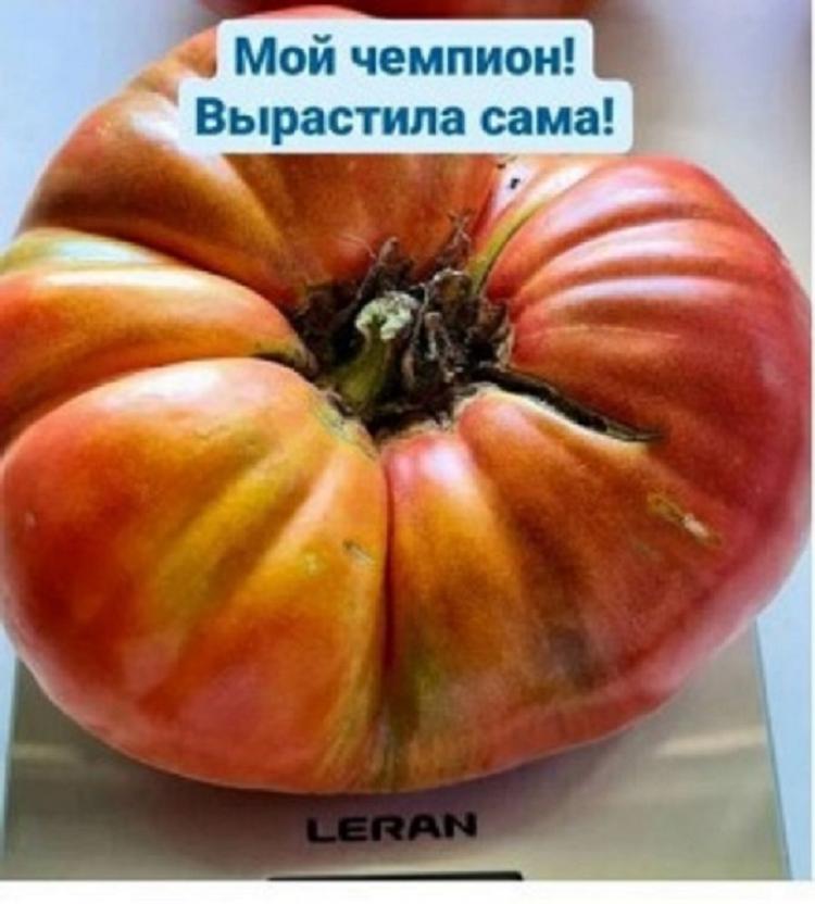 Снимок веб-страницы_8-9-2022_145036_vestiprim.ru.jpeg