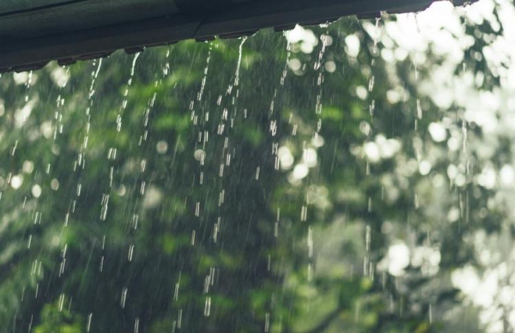 thumb_476169_news_xxxl (1).jpeg