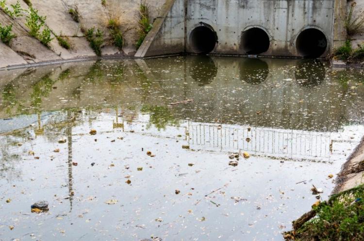 Снимок веб-страницы_19-9-2022_122258_ru.freepik.com.jpeg