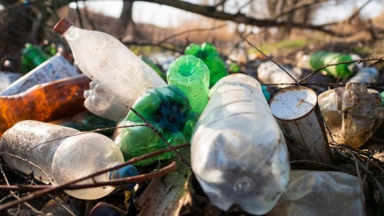 Снимок веб-страницы_20-9-2022_12148_ru.freepik.com.jpeg