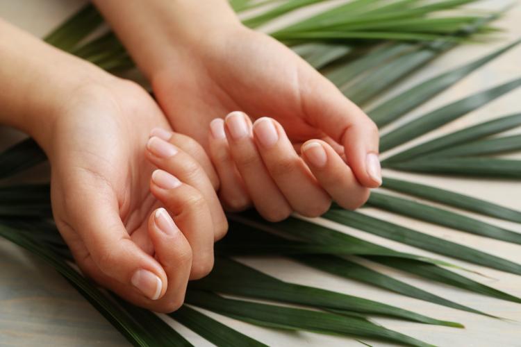 female-hands-skin-care-and-manicure-concept.jpg