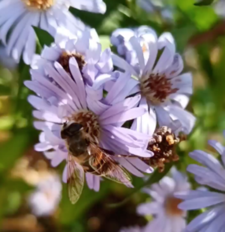 Снимок экрана 2022-10-20 в 17.16.06.png