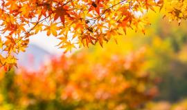 Без имени.jpg