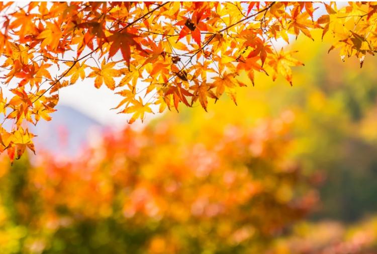 Без имени.jpg