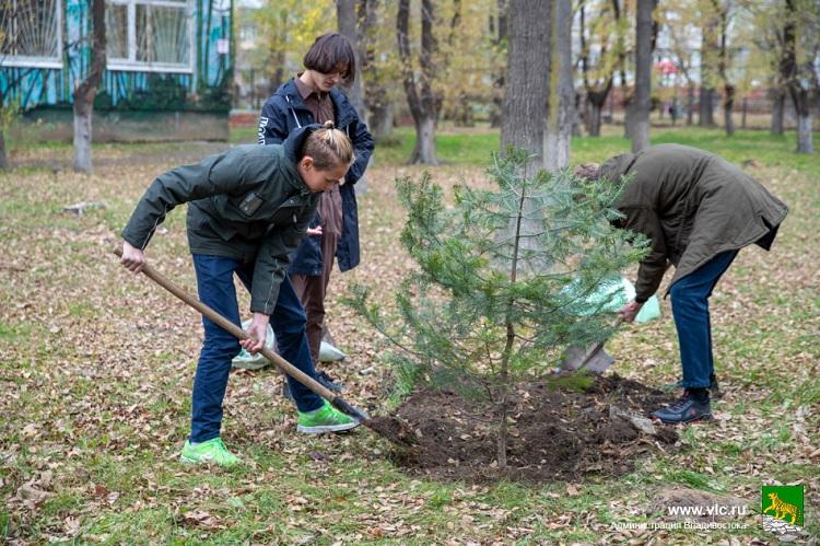 акцияели.jpg