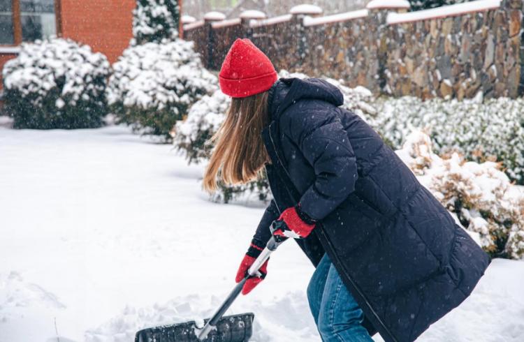 Снимок веб-страницы_8-11-2022_13058_ru.freepik.com.jpeg