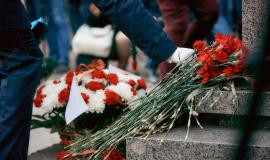 soldier-white-gloves-puts-flowers-monument-soldiers-who-died-world-war-ii_89718-582.jpg