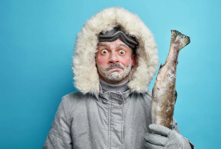 Снимок веб-страницы_17-11-2022_152544_www.freepik.com.jpeg