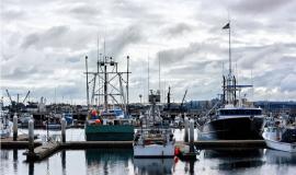 Снимок веб-страницы_18-11-2022_105622_www.freepik.com.jpeg