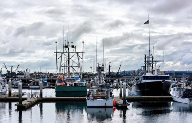 Снимок веб-страницы_18-11-2022_105622_www.freepik.com.jpeg