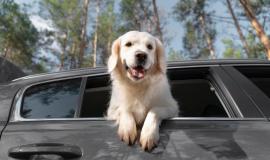 Снимок веб-страницы_18-11-2022_113517_www.freepik.com.jpeg